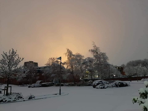 Cảnh vật được phủ một màu trắng xóa của tuyết yên bình đến lạ thường.