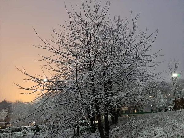 Khu vực này chủ yếu bao gồm các nhà ở có bậc thang lát đá thời Victoria và có số lượng sinh viên tương đối cao.