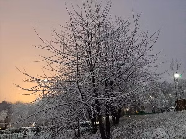 Khu vực này chủ yếu bao gồm các nhà ở có bậc thang lát đá thời Victoria và có số lượng sinh viên tương đối cao.