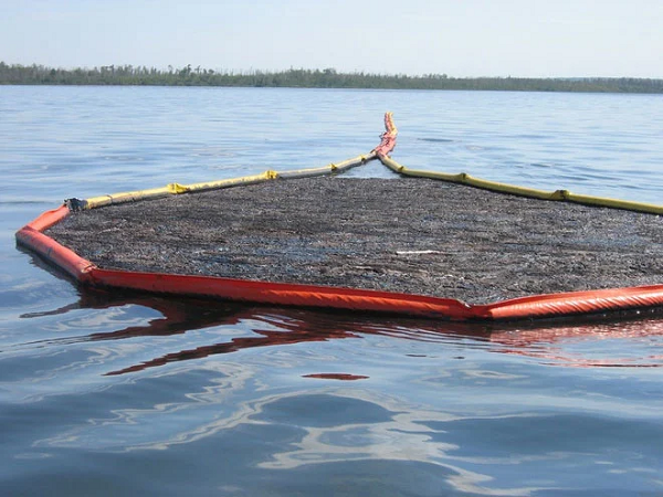 Đoạn video của tài khoản trên thu hút hơn 2,2 triệu lượt xem. Trong phần bình luận, một tài khoản ghi rằng đó là bạch tuộc khổng lồ, chiều dài 9 m kèm lời cảnh báo "cẩn thận khi đến gần". Trên thực tế, đây là dàn phao dùng để chắn bùn rác, ngăn hydrocacbon tràn ra biển tại những nơi tiếp nhiên liệu cho tàu thuyền.