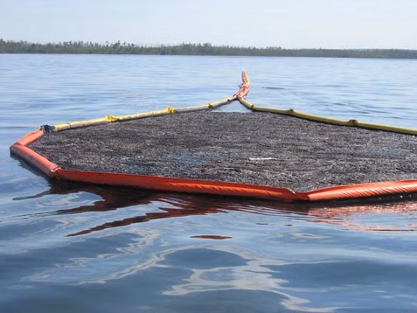 Đoạn video của tài khoản trên thu hút hơn 2,2 triệu lượt xem. Trong phần bình luận, một tài khoản ghi rằng đó là bạch tuộc khổng lồ, chiều dài 9 m kèm lời cảnh báo "cẩn thận khi đến gần". Trên thực tế, đây là dàn phao dùng để chắn bùn rác, ngăn hydrocacbon tràn ra biển tại những nơi tiếp nhiên liệu cho tàu thuyền.