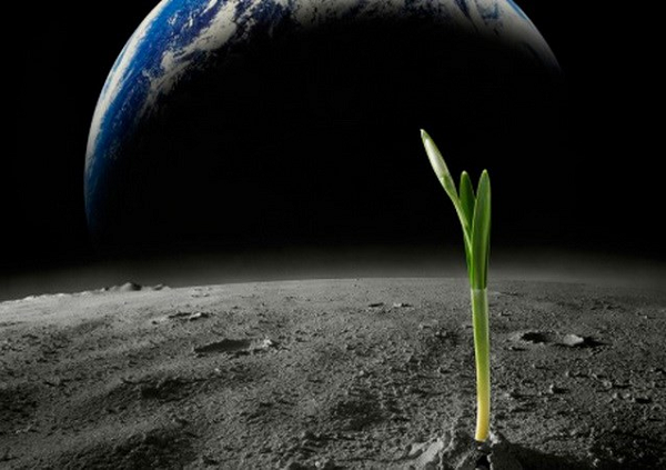 Vi khuẩn lam rất nhỏ và khó nhìn thấy. Trong môi trường ấm áp, giàu chất dinh dưỡng, chúng phát triển nhanh chóng, nở hoa trong hồ và các vùng nước khác.