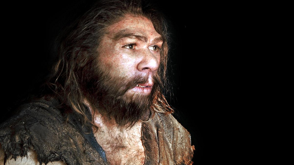 Từ lâu, nguyên nhân tuyệt chủng của người Neanderthal - người anh em gần gũi với tổ tiên loài người - cách đây khoảng 30.000 năm là một trong những đề tài tranh luận sôi nổi nhất của ngành nhân chủng học.