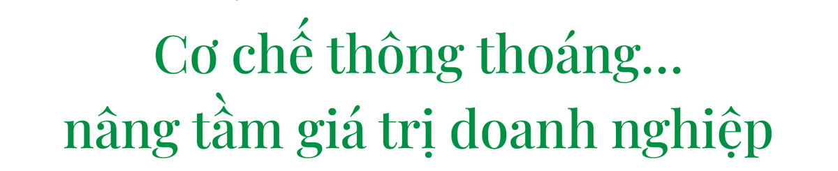 Kich ban phat trien kinh te xanh… gia tang gia tri doanh nghiep Viet-Hinh-7