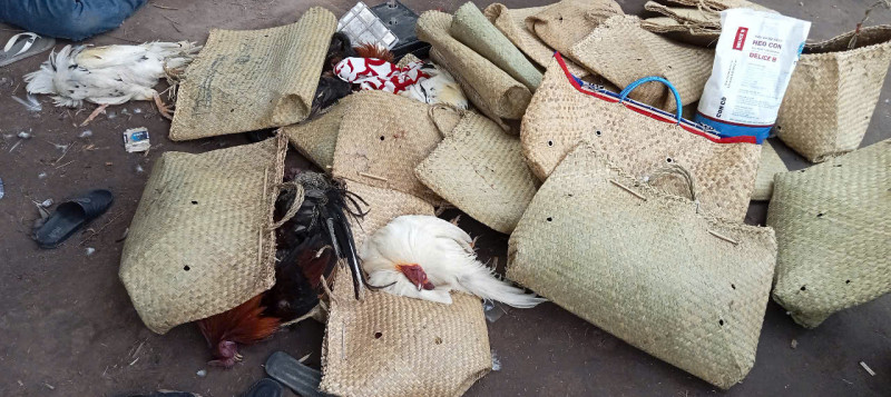 Triệt phá trường gà ngày mùng 2 Tết, thu giữ tang vật “khủng” - Hình 2 Triet pha truong ga ngay mung 2 Tet, thu giu tang vat “khung”-Hinh-2