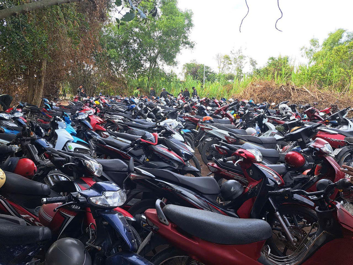 Triệt phá trường gà ngày mùng 2 Tết, thu giữ tang vật “khủng” - Hình 3 Triet pha truong ga ngay mung 2 Tet, thu giu tang vat “khung”-Hinh-3