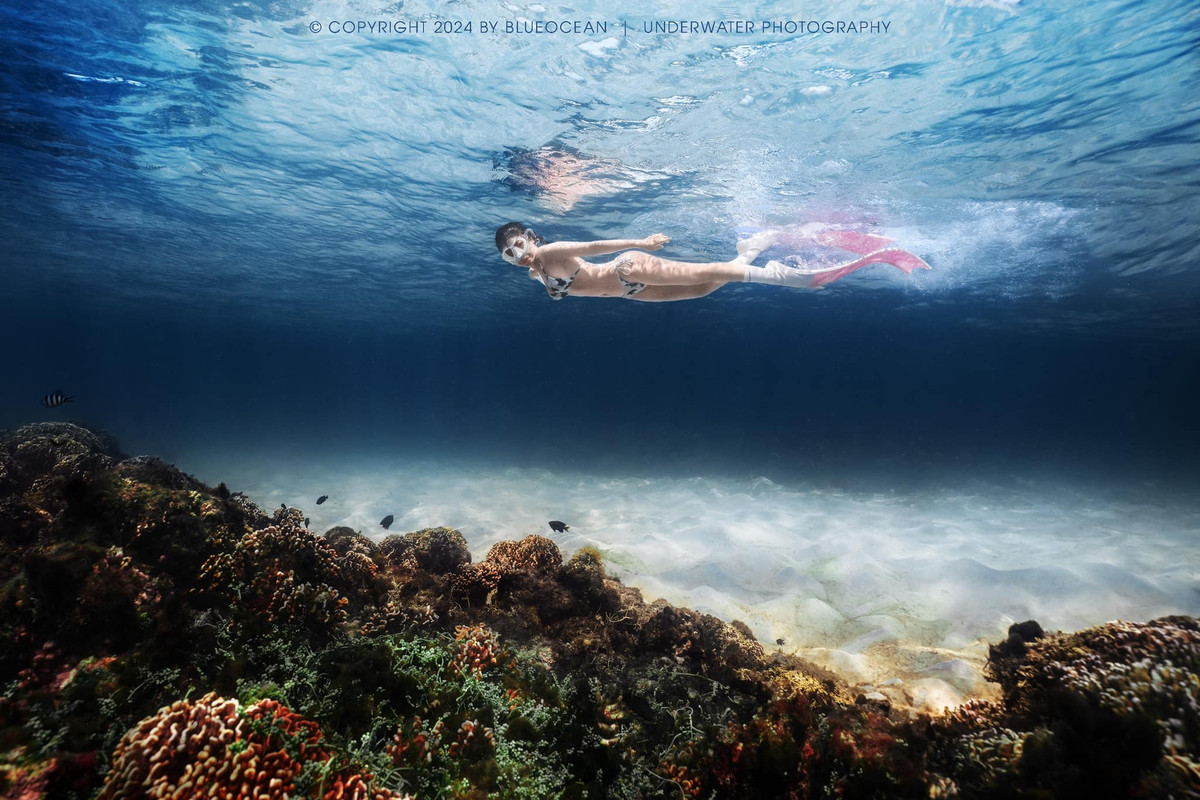 Dương Hoàng Yến sinh năm 1991, quê ở Hà Nội, được biết đến qua cuộc thi Sao Mai Điểm Hẹn 2008. Sau đó, cô thi The Voice 2013 và bắt đầu được nhiều người biết đến hơn.