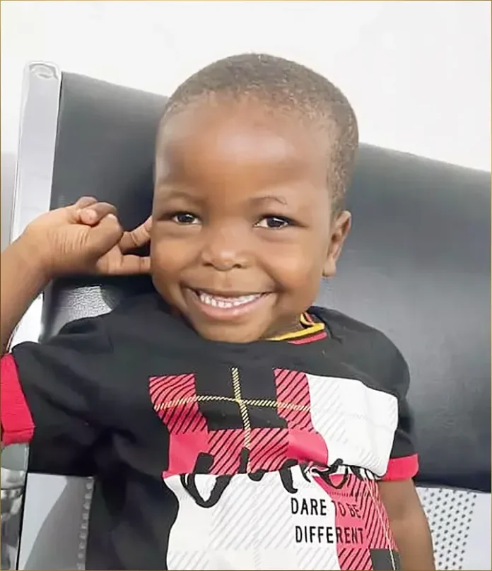 Tiết lộ ngày đưa Lôi Con về Việt Nam, Quang Linh chia sẻ chưa nói được trước điều gì, có thể là trong những chuyến hành trình tiếp theo, hoặc sẽ rất lâu nữa. (Ảnh: Tổng hợp từ Internet)