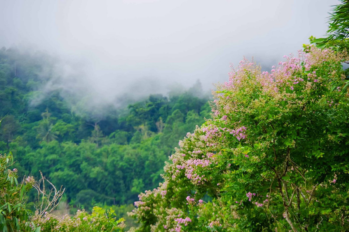 Các mô hình homestay tại Núi Cấm được thiết kế đẹp mắt, mang đậm nét văn hóa đặc trưng miền Tây. Với sự đón tiếp nồng hậu của chủ nhà, du khách sẽ cảm thấy như đang ở chính ngôi nhà của mình. Ảnh: Dương Việt Anh