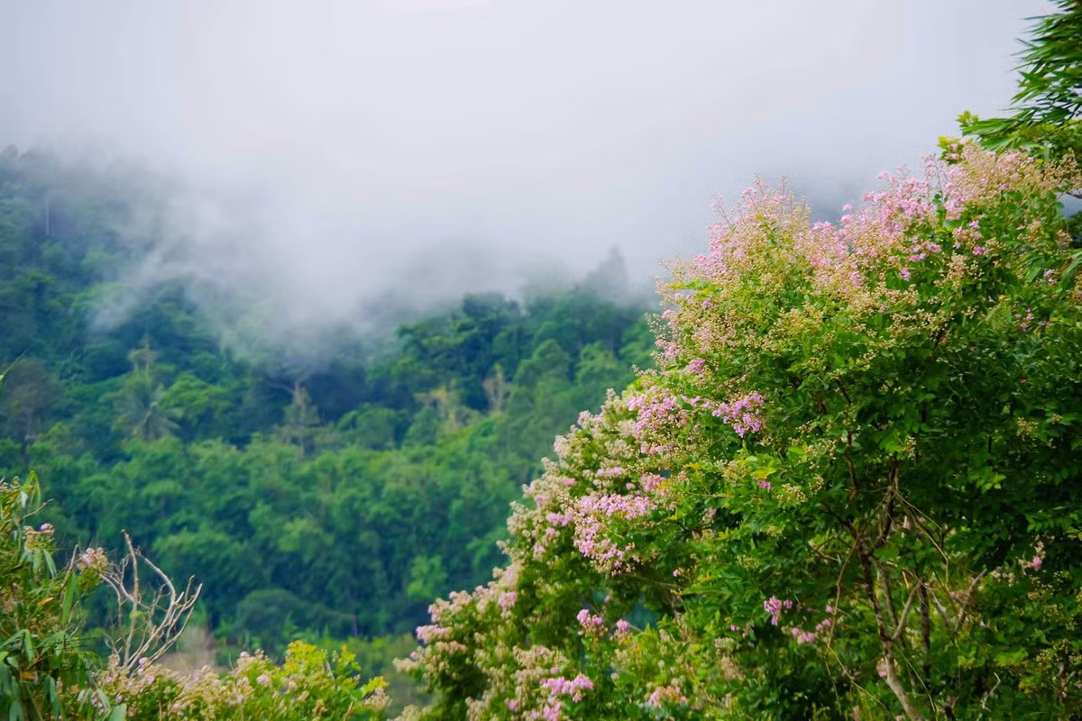 Các mô hình homestay tại Núi Cấm được thiết kế đẹp mắt, mang đậm nét văn hóa đặc trưng miền Tây. Với sự đón tiếp nồng hậu của chủ nhà, du khách sẽ cảm thấy như đang ở chính ngôi nhà của mình. Ảnh: Dương Việt Anh