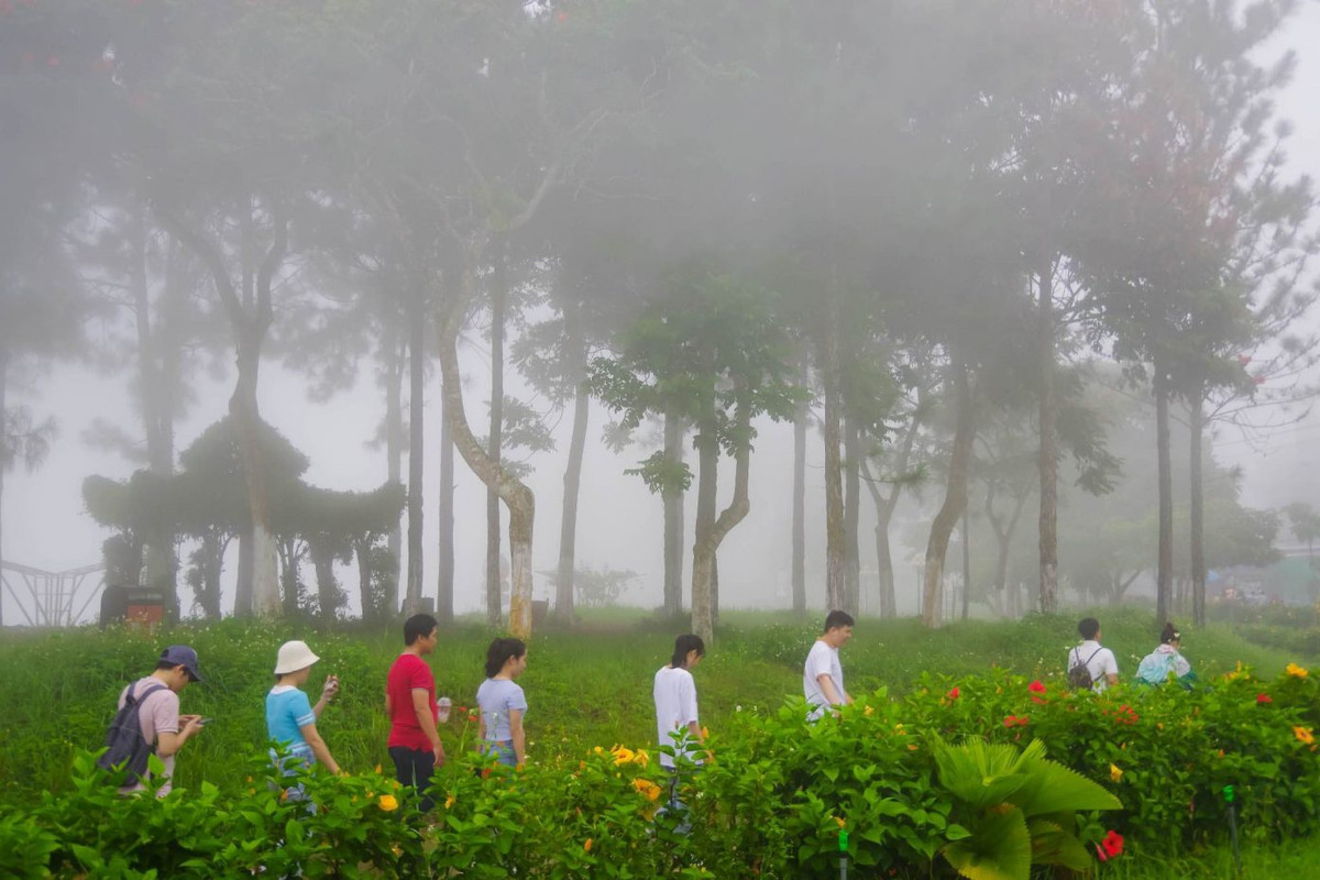 Vào sáng sớm, du khách sẽ được đắm mình trong biển mây, sương bao phủ. Ảnh: Dương Việt Anh