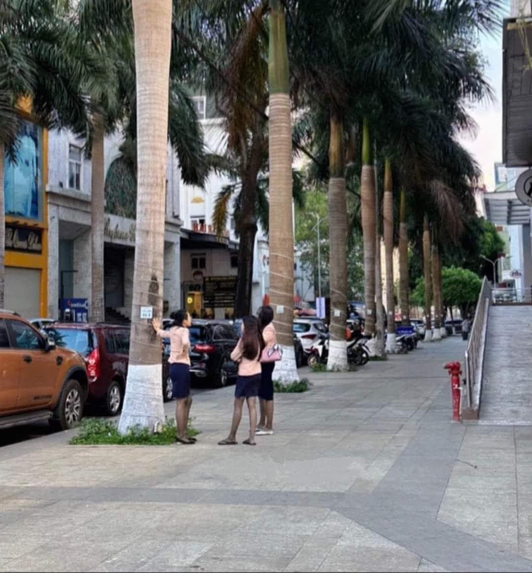 ...từ cầu thang đến vỉa hè vẫn hăng say "tám".