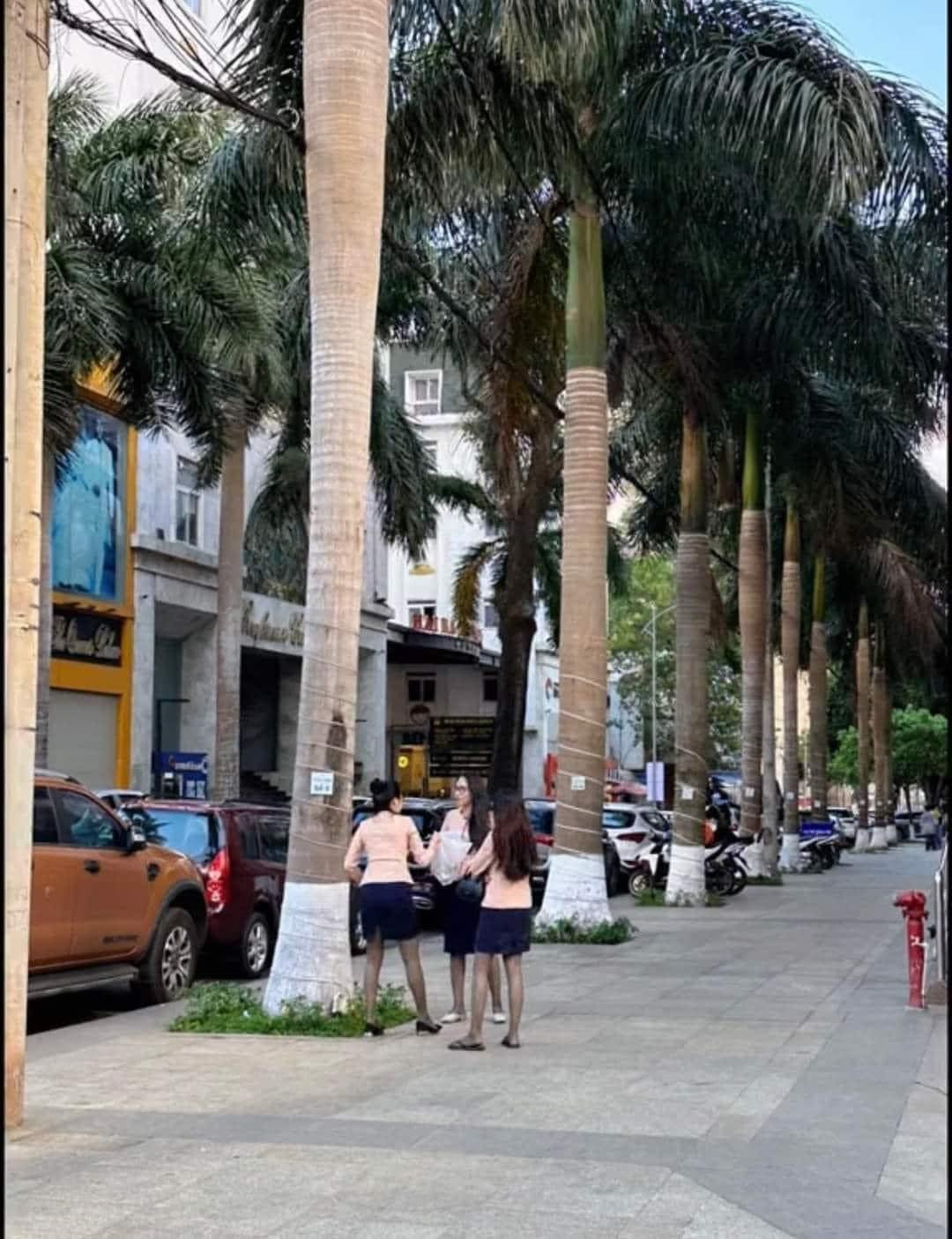 Nhiều người ở phần bình luận đã thể hiện sự tò mò khi không biết cả 3 nói chuyện gì mà "bánh cuốn'' đến như thế.