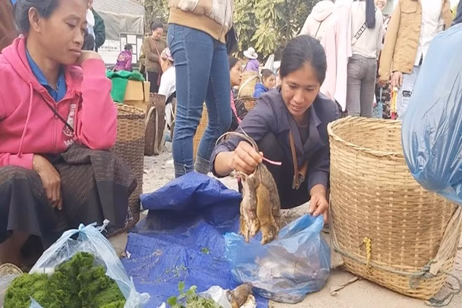Doc dao cho phien bien gioi Na Meo o xu Thanh-Hinh-2