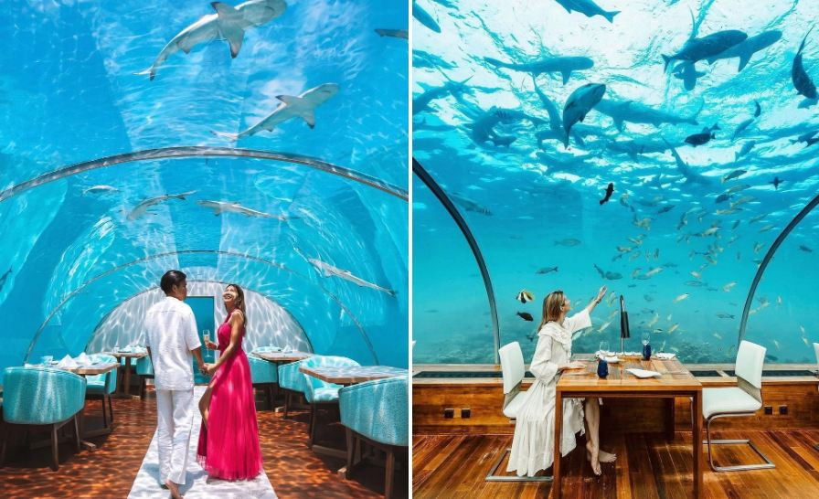 Tại đây còn có khu vực nhà hàng dưới nước đẹp như một bức tranh chuyển động linh hoạt đằng sau khung kính. Ảnh: @paigunna, @zorymory.