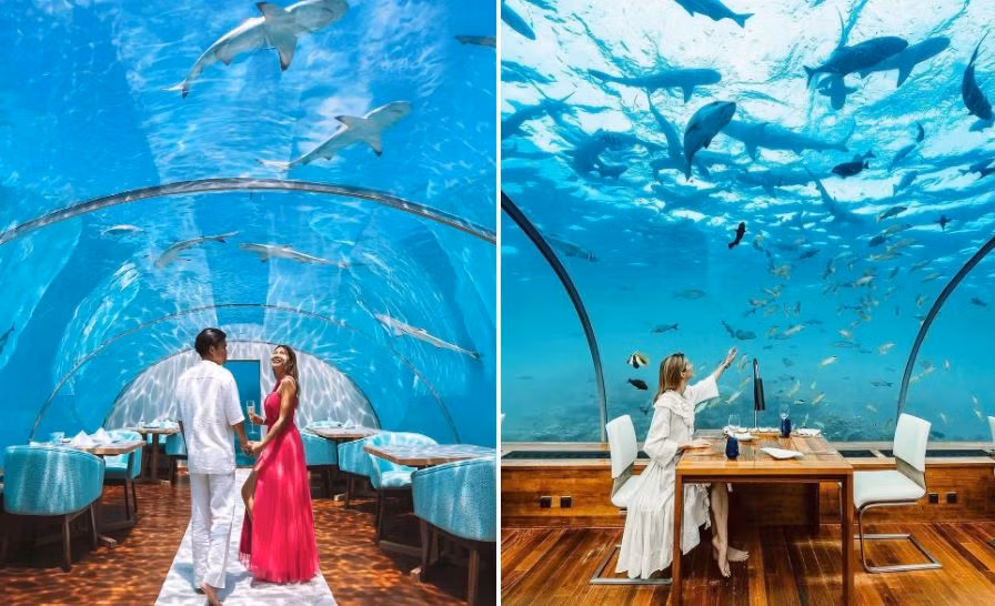 Tại đây còn có khu vực nhà hàng dưới nước đẹp như một bức tranh chuyển động linh hoạt đằng sau khung kính. Ảnh: @paigunna, @zorymory.