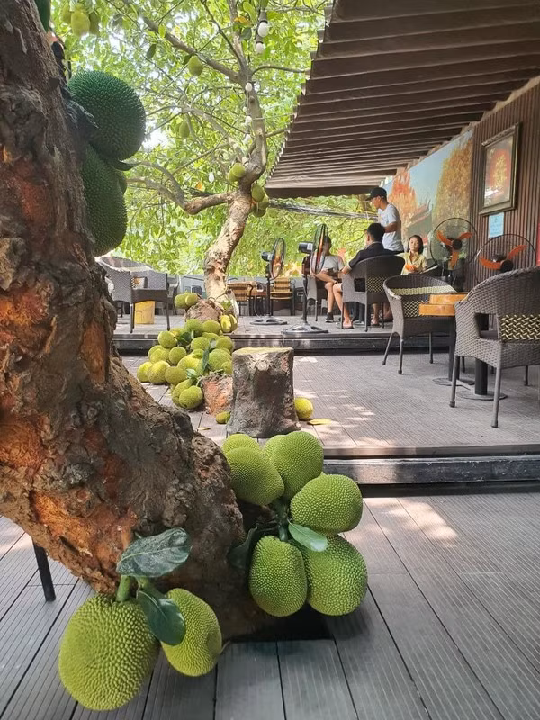 Người chủ đã thiết kế tầng 2 quán cà phê vô cùng độc lạ, thay vì chặt bỏ cây để lấy diện tích, chủ quán đã thiết kế quán cà phê 2 tầng, với sàn tầng 2 là khung sắt thép, ốp nhựa vân gỗ để cây mọc xuyên qua. Phần dưới sàn là mái tôn mát có chống thấm. Ở tầng một, gốc mít được bao quanh bởi hồ cá nhỏ.