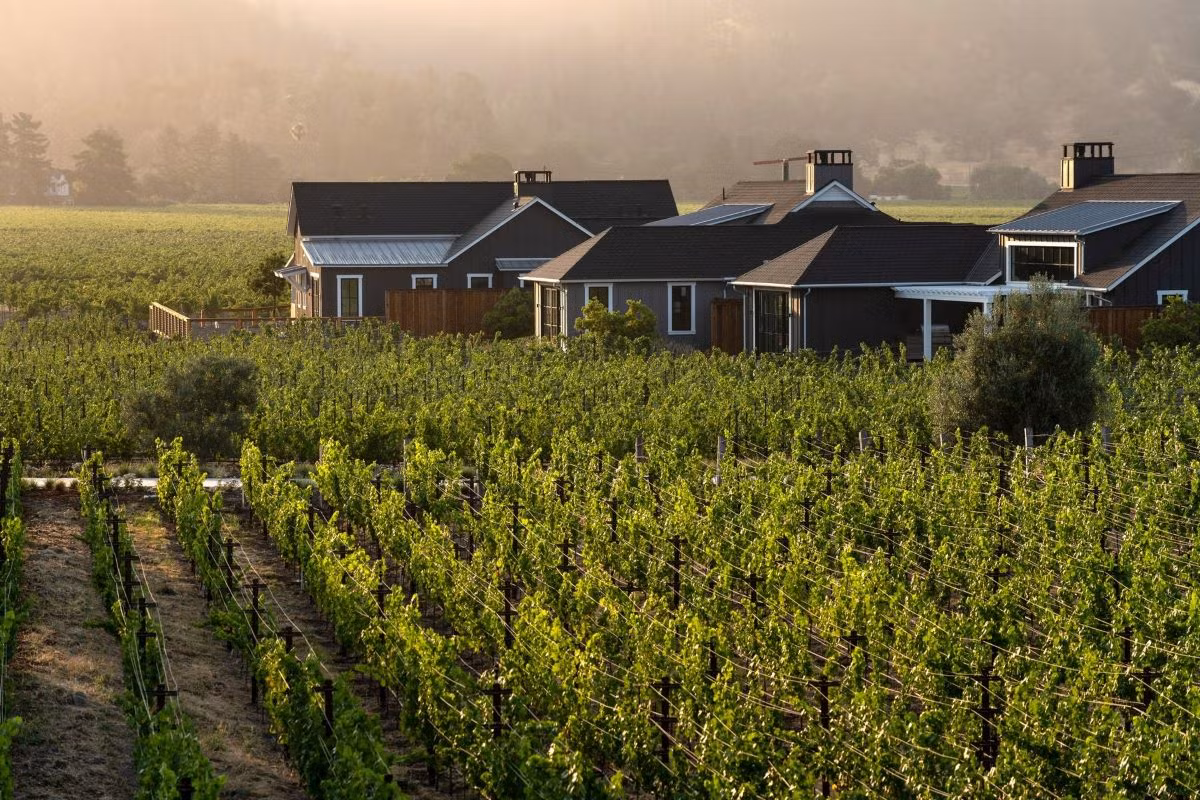 Thung lũng Napa tại bang California, Mỹ là một trong những nơi tuyệt vời nhất để du lịch vào tháng 8. Du khách có thể tìm đến khu nghỉ dưỡng Four Seasons Resort and Residences Thung lũng Napa, được xây dựng trên một nhà máy rượu đang hoạt động. Ảnh: Four Seasons Resort and Residences