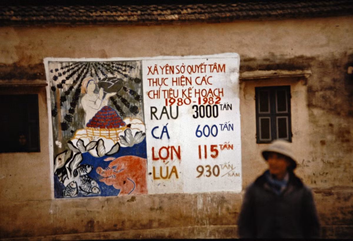 Xã Yên Sở, huyện Hoài Đức đề ra chỉ tiêu trong hai năm 1980-1982.