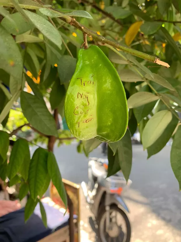 Đánh dấu bản quyền luôn rồi nhé. (Ảnh: tổng hợp Internet)