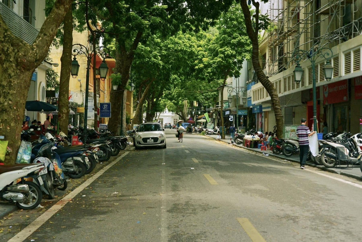 Mùa thu thật hiền dịu, tiết trời cùng vẻ mơ mộng vốn có khiến ai đôi khi cũng phải dừng lại nhìn ngắm say sưa theo vẻ mang mang của đất trời.