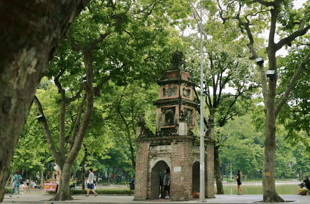 Mùa Thu mang theo cái se lạnh và heo may tới Hà Nội, trong muôn loài hoa đua nở khoe hương sắc, hoa sữa trong tiết Thu vẫn là dấu ấn đặc biệt. Khi Thu chạm ngõ cũng là lúc mùi hoa sữa nồng nàn len lỏi khắp các con phố.