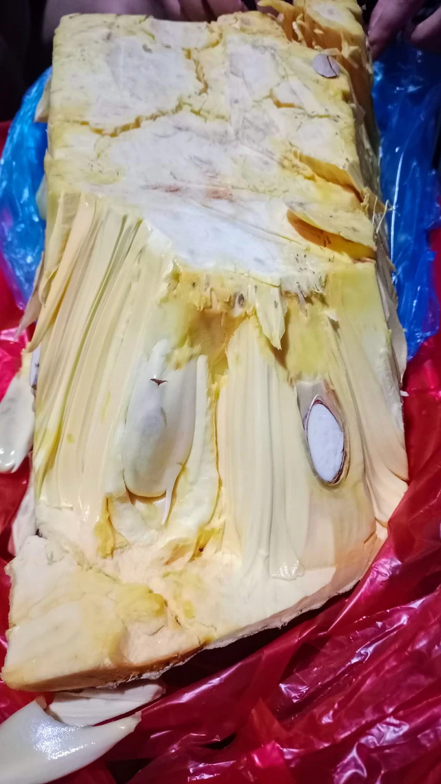 Múi mít to và dày, mỗi múi dài đến 10cm.