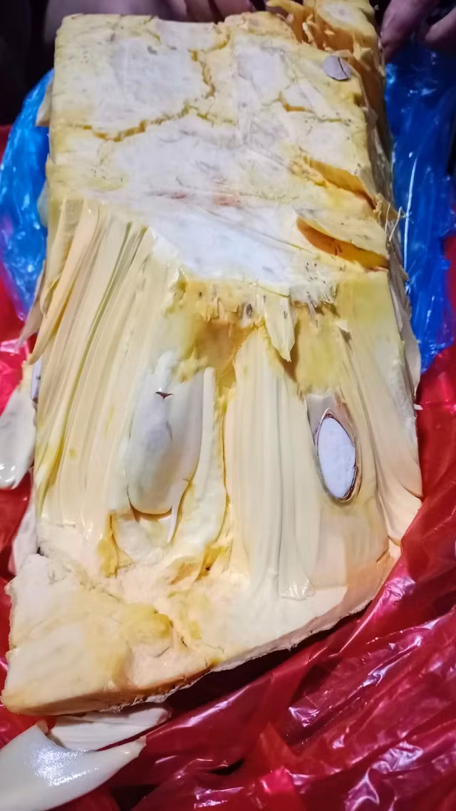 Múi mít to và dày, mỗi múi dài đến 10cm.