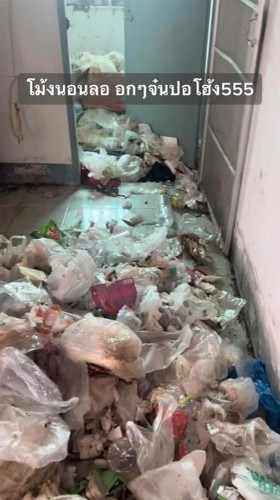 Chủ trọ đáp lại là căn phòng đóng kín cửa nên không quá toả mùi ra. Chỉ khi mở cửa thì mới phát hiện cảnh tượng kinh hoàng như vậy.