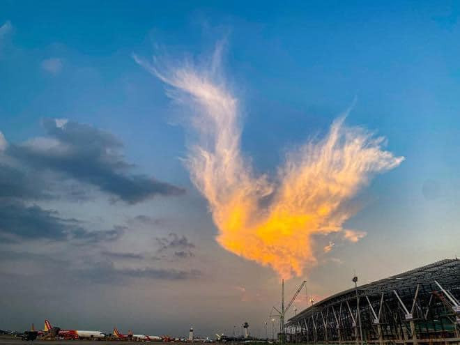 Những bức ảnh và video về "phượng hoàng lửa" trên bầu trời TP.HCM thu hút về rất nhiều sự chú ý.