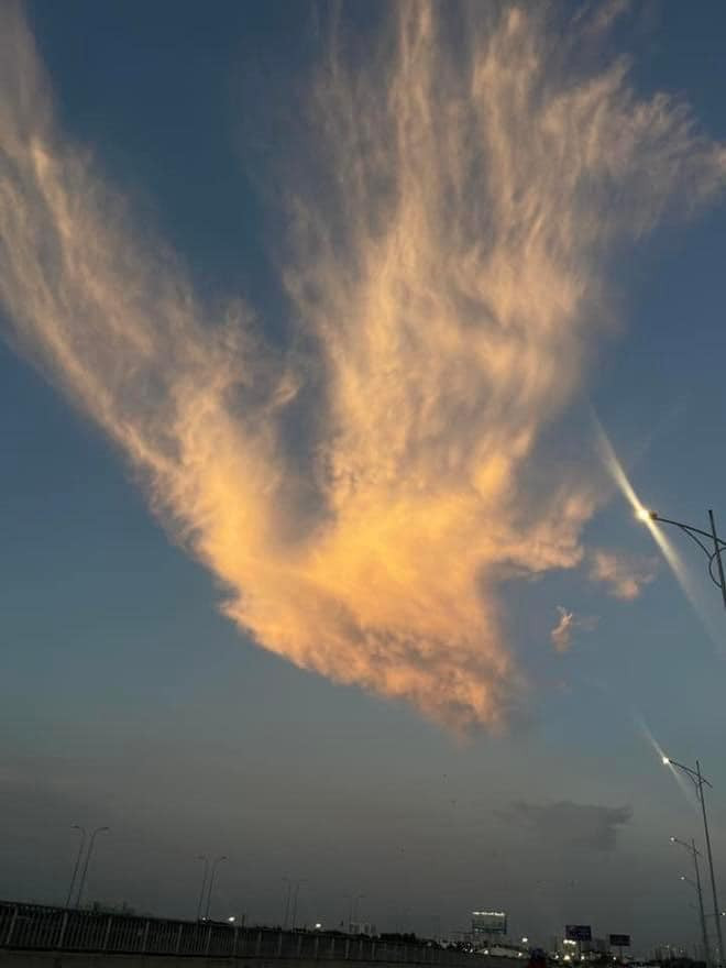 Trước đó, vào năm 2020 cư dân mạng cũng từng xôn xao và chia sẻ hình ảnh bầu trời lúc hoàng hôn xuất hiện đám mây có hình hệt như phượng hoàng lửa. (Ảnh: Tổng hợp Facebook)