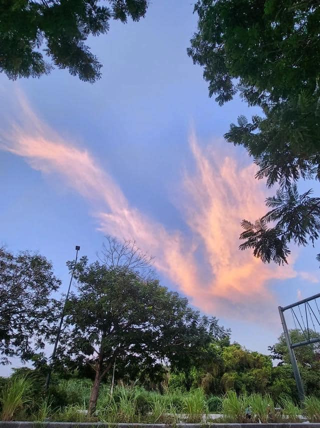 Nhiều người cho rằng đây là điềm báo của những điềm lành, điều tốt đẹp: "Đẹp thật, người xưa thuờg nói khi phượng hoàng lửa giáng thế là điều tốt đẹp đang đến với nhân gian", "chiều qua lúc đi làm về mình cũng thấy, đúng là đẹp không thể rời mắt được luôn đó".