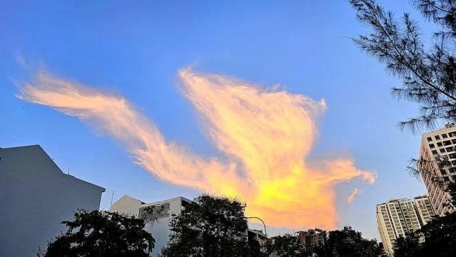 Rất nhiều người dân ở các khu vực khác nhau đều có thể trông thấy đam mây theo nhiều góc độ khác nhau.