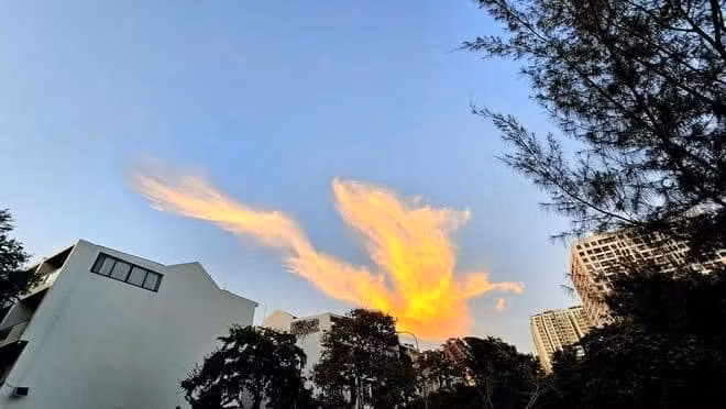 Vào chiều ngày 18/8, bầu trời TP.HCM bất ngờ xuất hiện hình ảnh một đám mây có hình thù rất đặc biệt khiến nhiều người liên tưởng đến hình ảnh "phượng hoàng lửa".