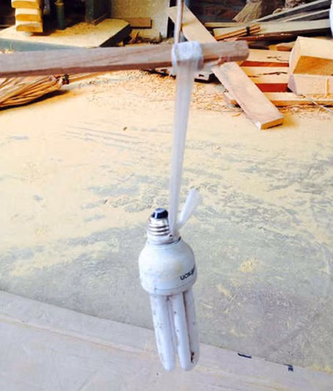 Thêm lồng làm gì cho rườm rà phức tạp, cứ đơn giản thô sơ, trần trụi với thiên nhiên như này là được.