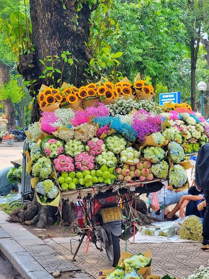 Những chiếc xe hoa đủ màu rực rỡ bên con phố thơ mộng Phan Đình Phùng... (Ảnh: Đinh Xuân Tiến)