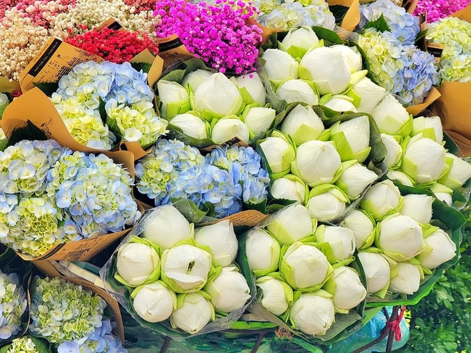 Tháng 8 là thời điểm những đóa hoa sen, những đóa cẩm tú cầu đang vào kỳ nở rộ. (Ảnh: Đinh Xuân Tiến)