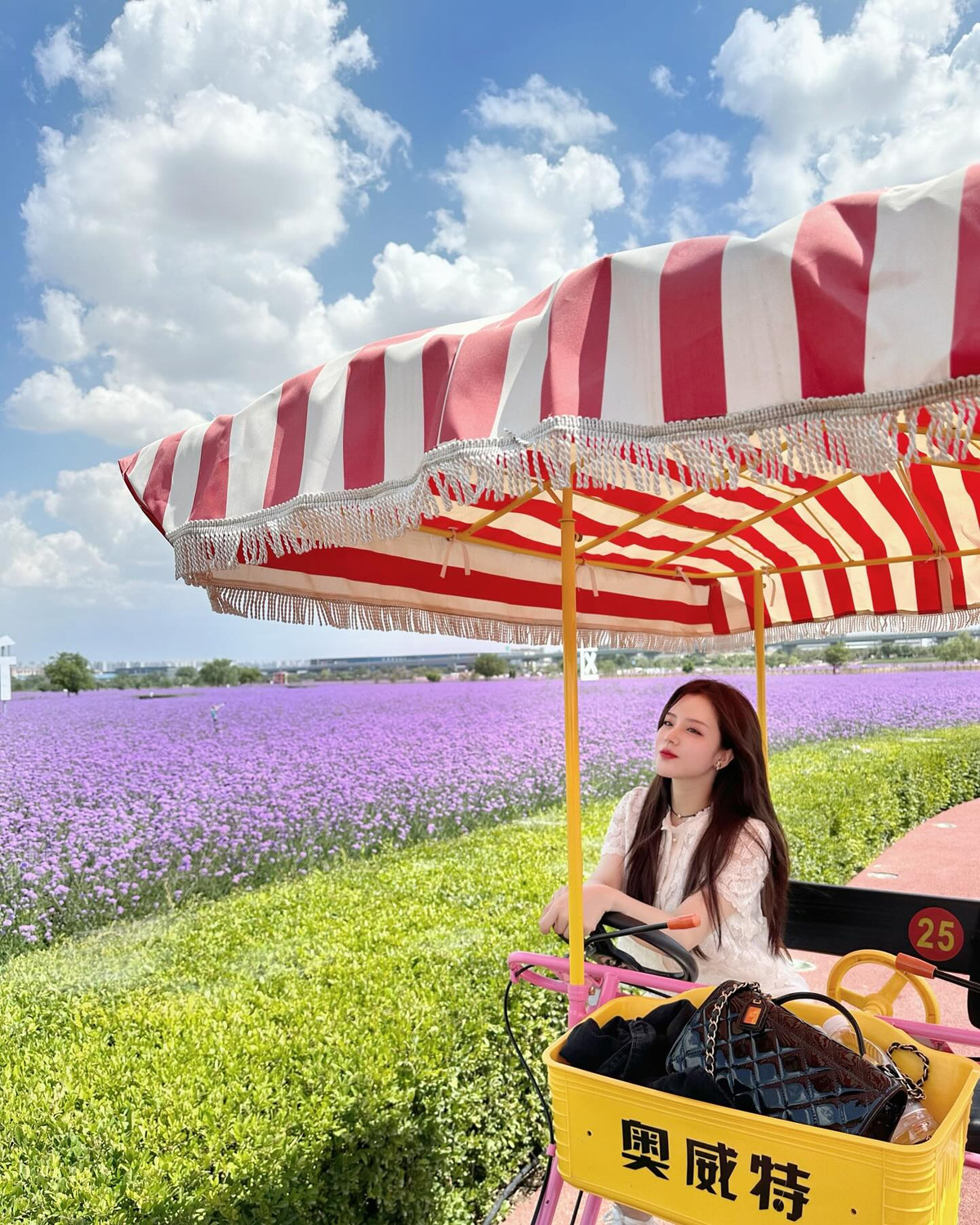 Ngoài ra, Ông Thoại Liên cũng là tay chơi hàng hiệu có tiếng. Cô nàng có rất nhiều bộ sưu tập túi xách, giày dép hàng hiệu trị - giá hàng trăm triệu.