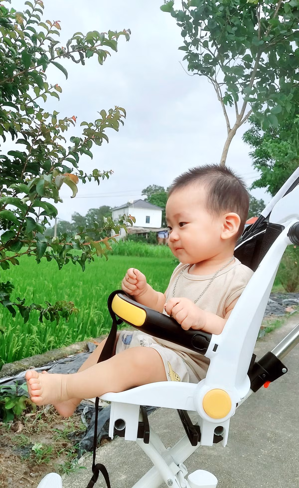 Chân dung "cu cháu" khiến ông cậu nhớ "phát cuồng", đạp xe 20 cây số để đến thăm.