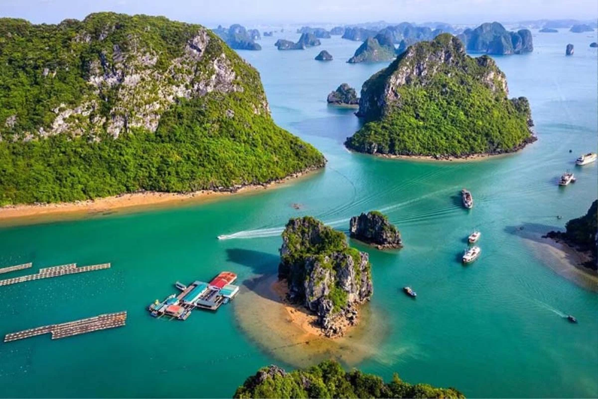 Hải sản ở làng chài được đánh bắt trong ngày nên rất tươi ngon, được chế biến tại chỗ nên càng hấp dẫn hơn. Bên cạnh đó, khách du lịch nên tự chèo thuyền kayak để khám phá cảnh đẹp xung quanh làng chài.