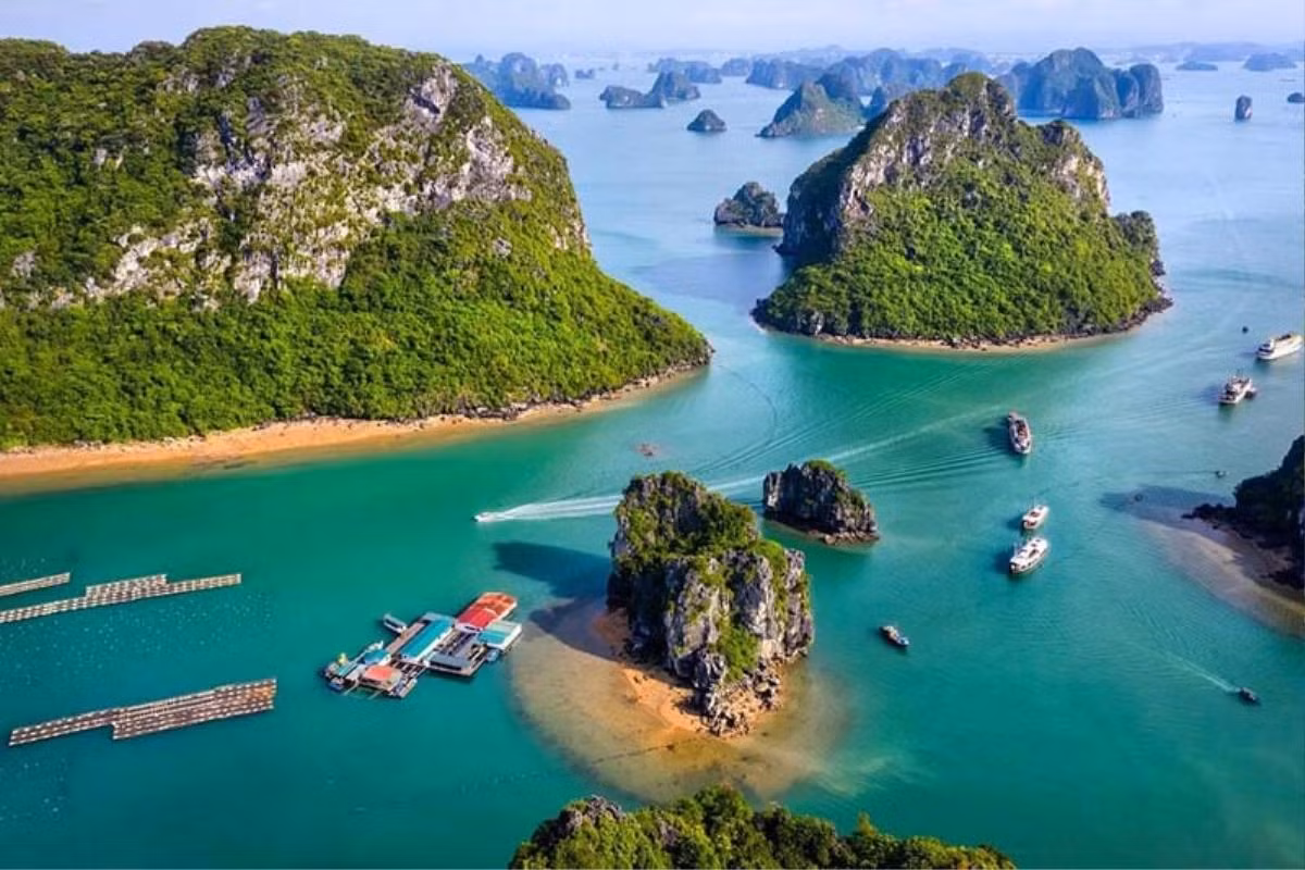 Hải sản ở làng chài được đánh bắt trong ngày nên rất tươi ngon, được chế biến tại chỗ nên càng hấp dẫn hơn. Bên cạnh đó, khách du lịch nên tự chèo thuyền kayak để khám phá cảnh đẹp xung quanh làng chài.