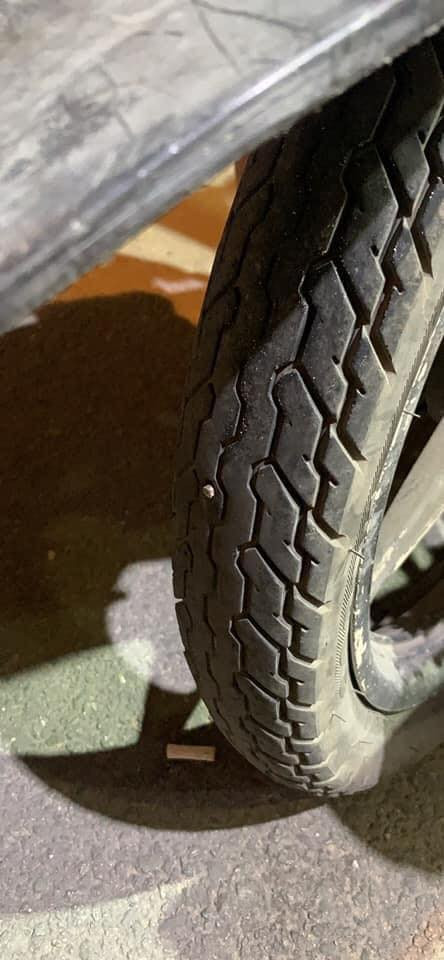 Bức ảnh vô cùng chân thật. (Ảnh: Tổng hợp Facebook)