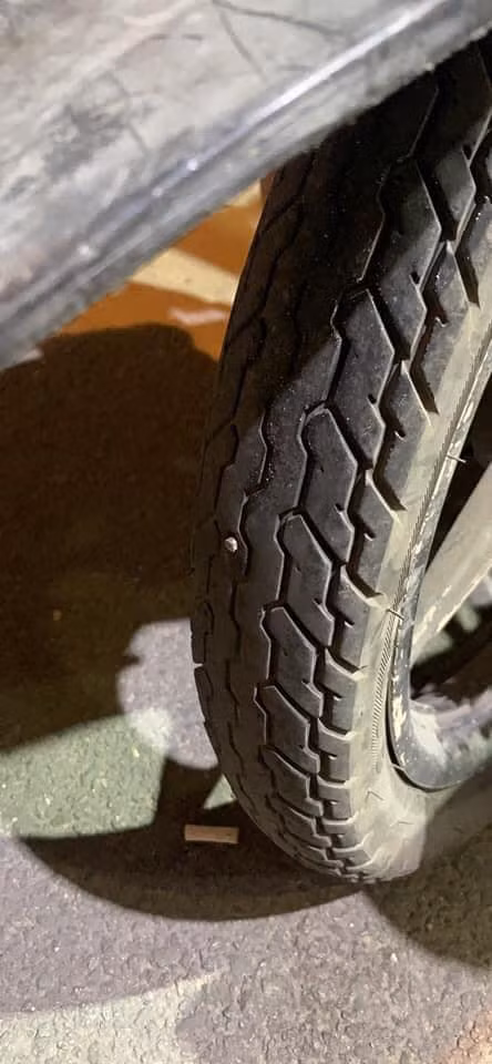 Bức ảnh vô cùng chân thật. (Ảnh: Tổng hợp Facebook)