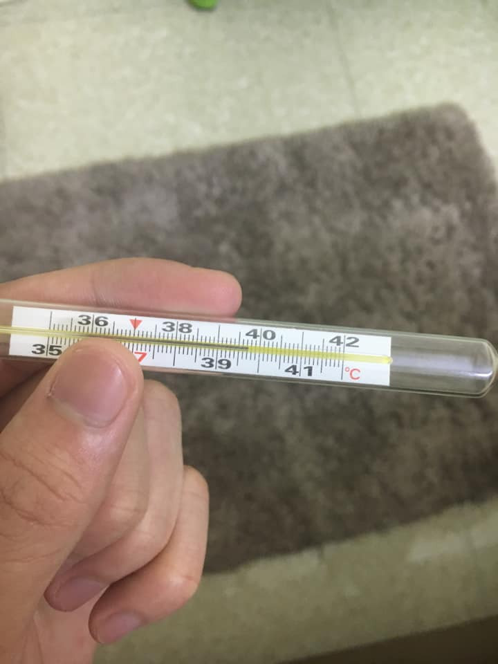 Sốt gần 40 độ thế này thì chỉ có thể nghỉ làm thôi...