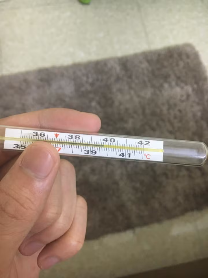 Sốt gần 40 độ thế này thì chỉ có thể nghỉ làm thôi...