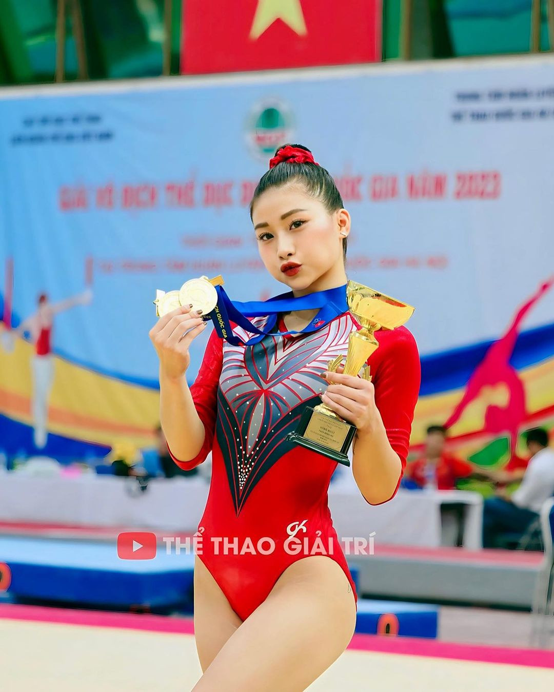 Cô nàng từng là cái tên nổi bật của thể dục dụng cụ nước nhà với loạt thành tích cực khủng như giành 3 HCV cá nhân, đồng thời góp công ở nội dung đồng đội cho đoàn Hà Nội ở giải thể dục dụng cụ vô địch quốc gia 2023, 2 tấm HCB ở SEA Games 31...