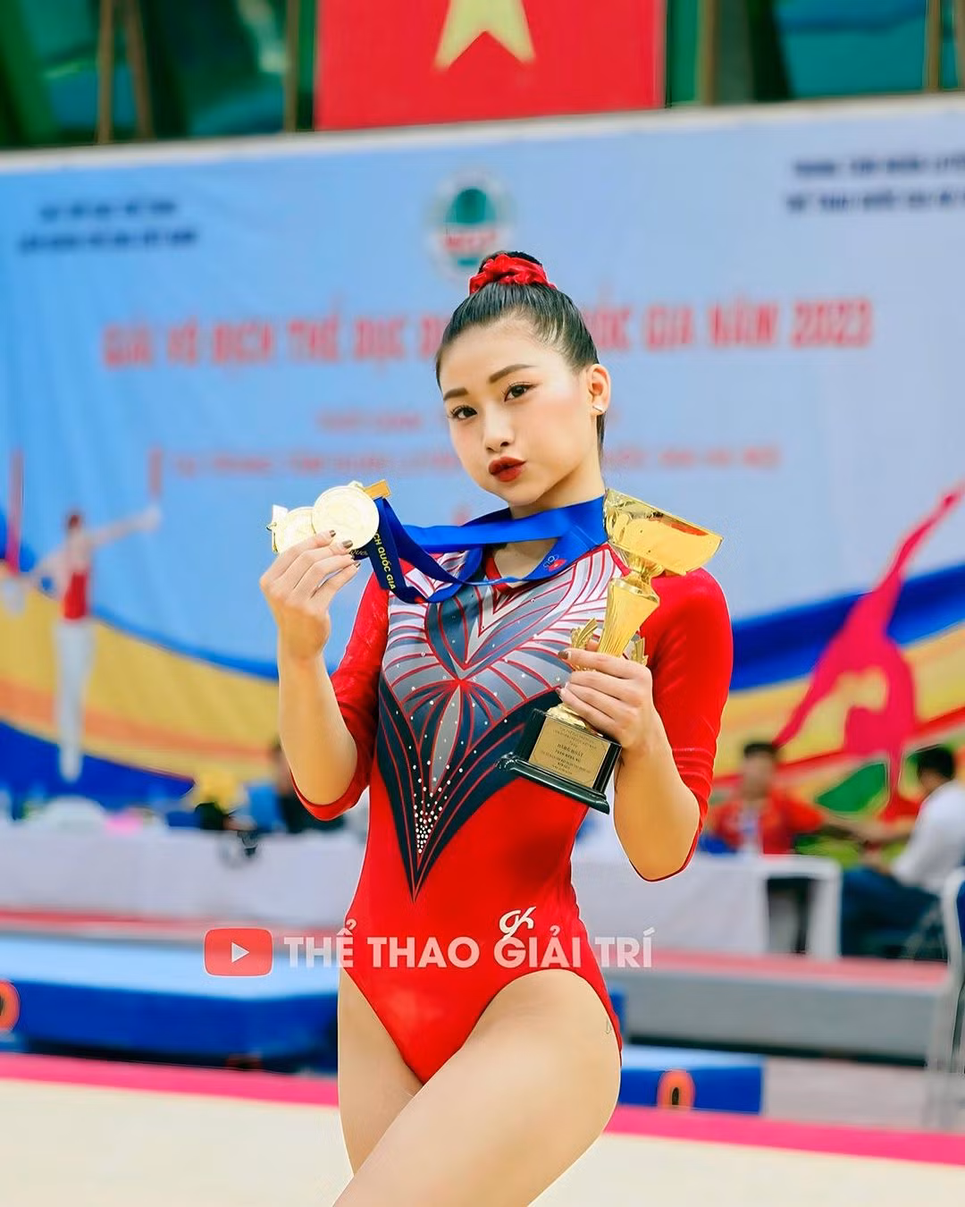 Cô nàng từng là cái tên nổi bật của thể dục dụng cụ nước nhà với loạt thành tích cực khủng như giành 3 HCV cá nhân, đồng thời góp công ở nội dung đồng đội cho đoàn Hà Nội ở giải thể dục dụng cụ vô địch quốc gia 2023, 2 tấm HCB ở SEA Games 31...