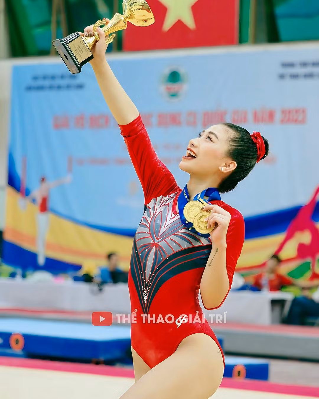 Trên trang cá nhân của mình, Louis Phạm gần như đã ẩn toàn bộ ảnh, chỉ để lại bài đăng thời vẫn còn là vận động viên Quốc gia.