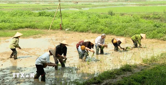 Du lich trai nghiem van hoa Muong hap dan khach quoc te-Hinh-3