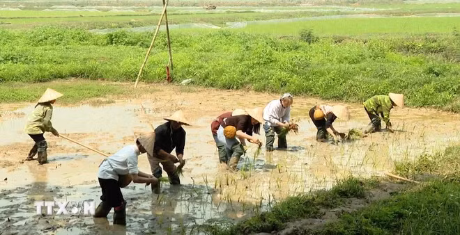 Du lich trai nghiem van hoa Muong hap dan khach quoc te-Hinh-3